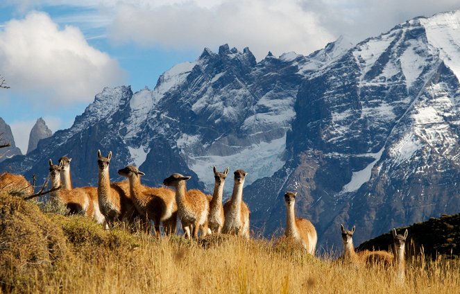 Patagonia: Earth's Secret Paradise - Fire and Ice - Photos