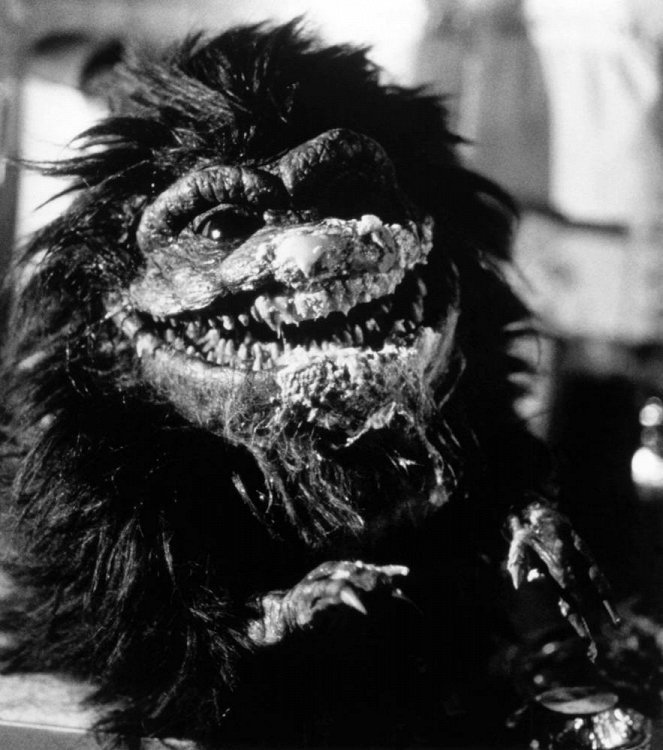 Critters - Photos