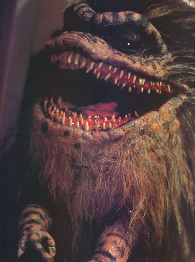 Critters - Photos