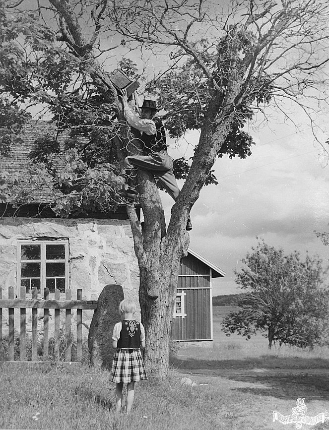 Miehen vankina - Filmfotók - Rauni Helin, Hannes Jokelainen