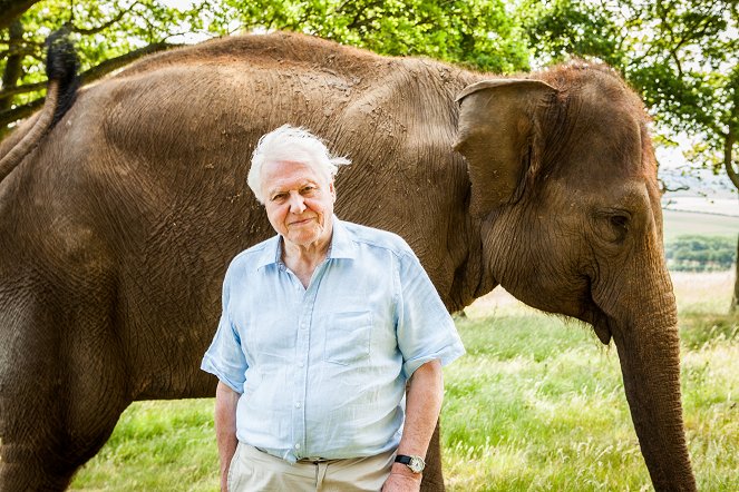 David Attenborough és az óriásdinoszaurusz - Filmfotók - David Attenborough