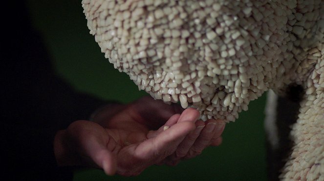 Channel Zero - Candle Cove - I'll Hold Your Hand - Photos