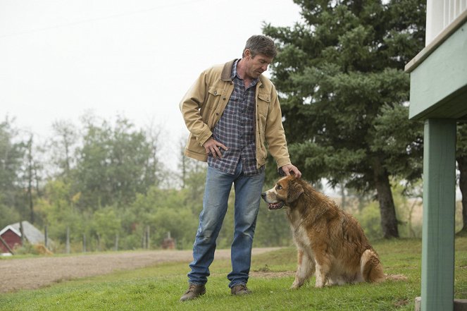 A Dog's Purpose - Van film - Dennis Quaid