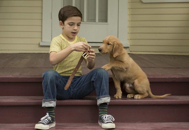 Tu mejor amigo - De la película - Bryce Gheisar