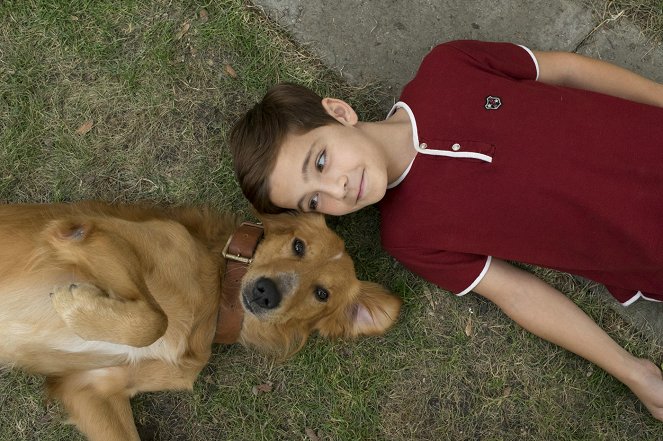 A Dog's Purpose - Photos - Bryce Gheisar