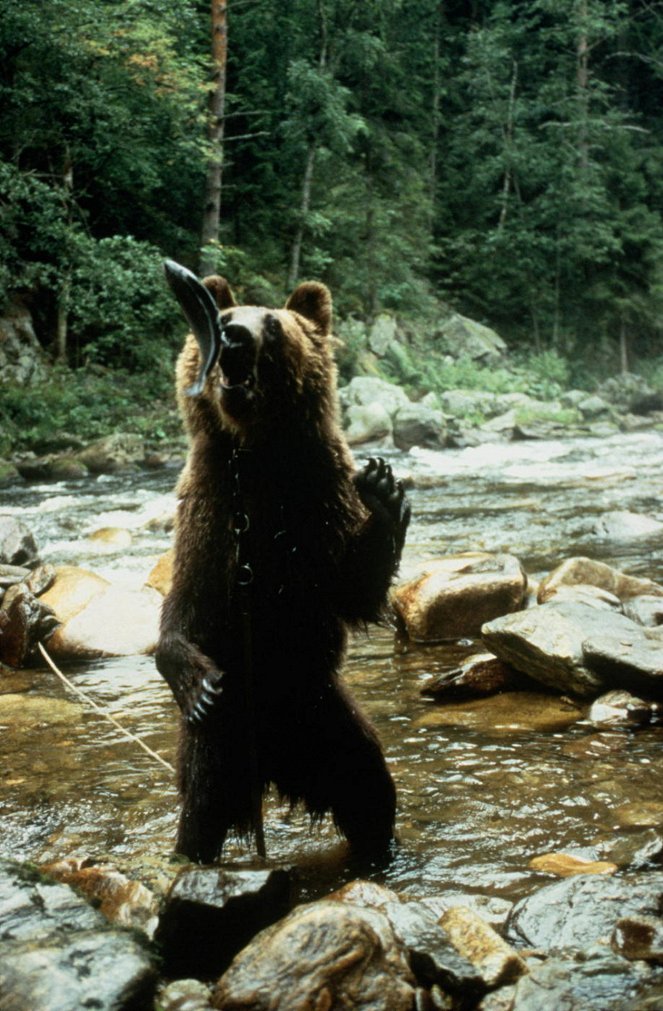 Hurá na medvěda - Z filmu