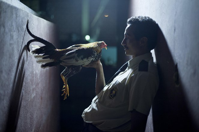 Por las plumas - Van film