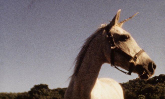 I Believe in Unicorns - Filmfotos
