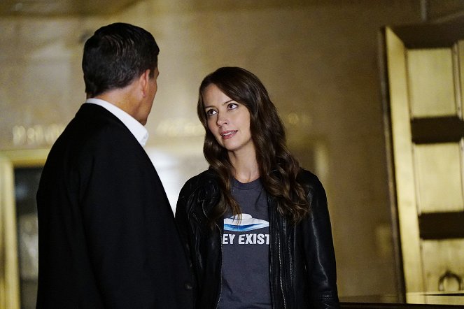 Person of Interest - Photos - Amy Acker