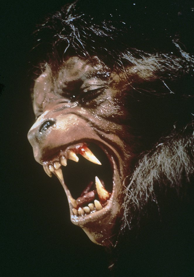 An American Werewolf in London - Van film