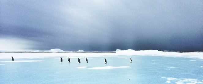 Putování tučňáků: Volání oceánu - Z filmu