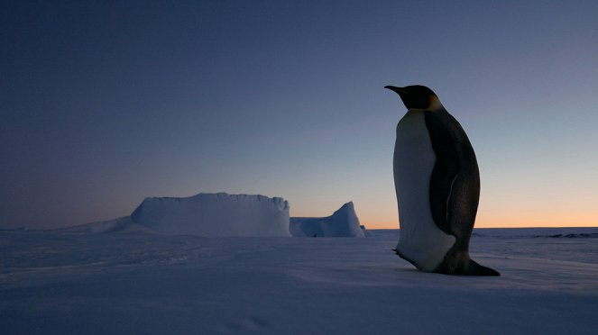 Die Reise der Pinguine 2 - Filmfotos