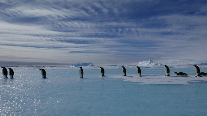 Pingvinek vándorlása 2. - Filmfotók