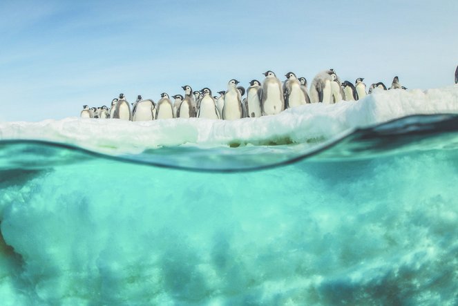 Pingviinien matka 2 - Kuvat elokuvasta