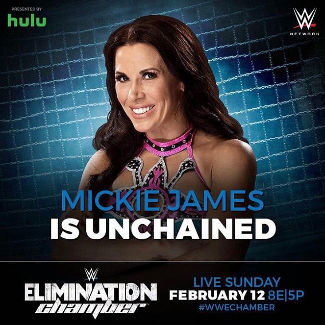 WWE Elimination Chamber - Werbefoto