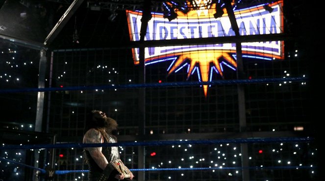 WWE Elimination Chamber - Photos