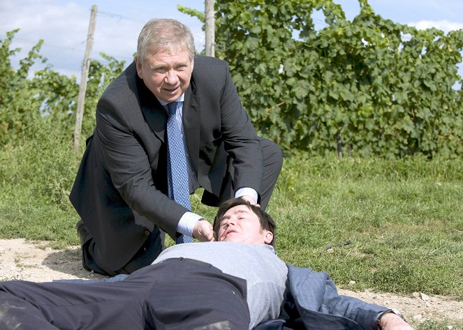 Der Staatsanwalt - Season 7 - Die Toten im Weinberg - Film
