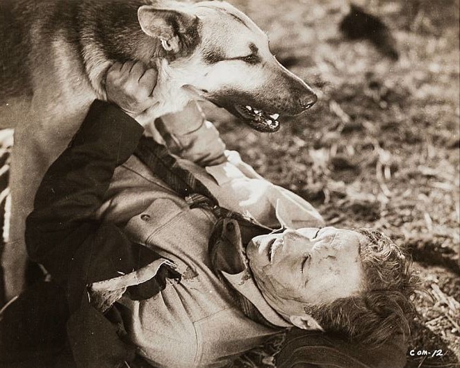 Caryl of the Mountains - De la película - Rin Tin Tin Jr.