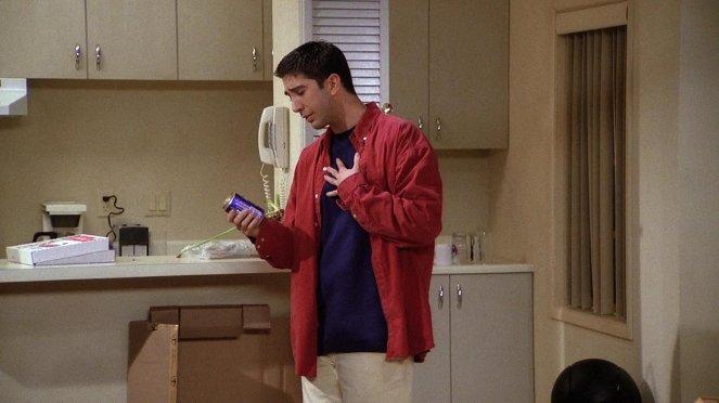 Friends - Season 1 - The One Where Monica Gets a Roommate - Photos - David Schwimmer