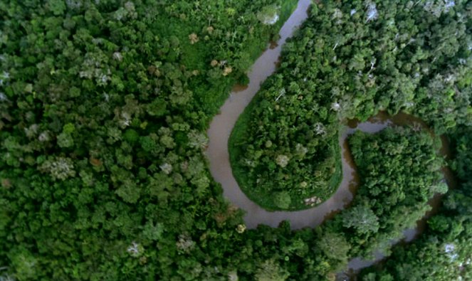 Julianes Sturz in den Dschungel - Kuvat elokuvasta