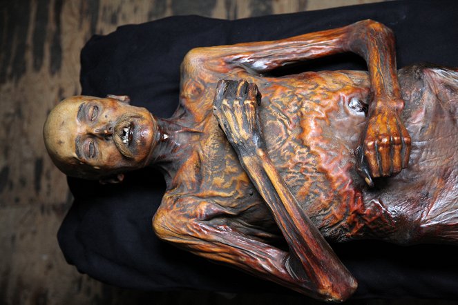 Mummies Alive - Photos