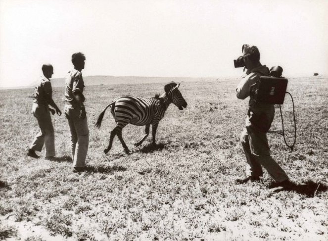 Serengeti darf nicht sterben - Forgatási fotók