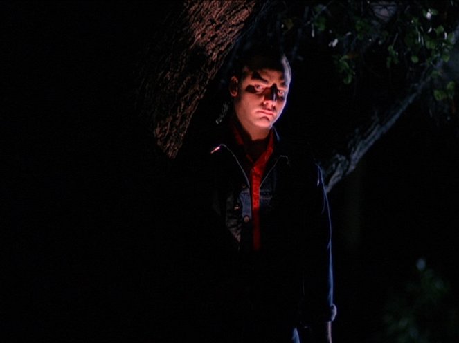 Twin Peaks - Season 1 - Zen, or the Skill to Catch a Killer - Van film - Eric DaRe