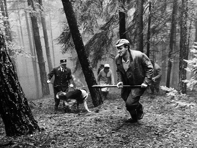 Scènes de chasse en Bavière - Film