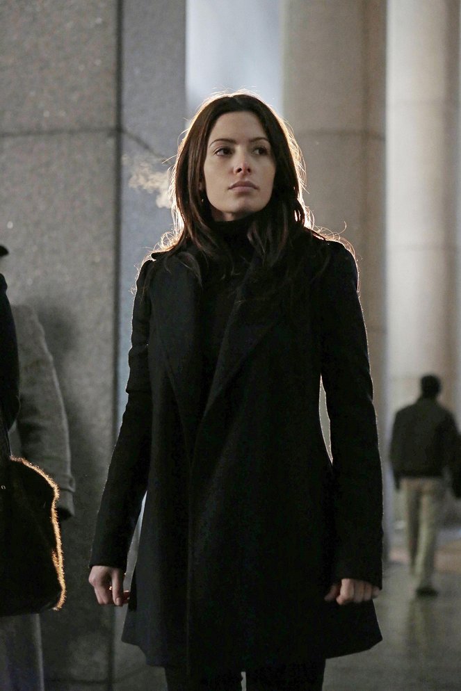 Person of Interest - Relevance - Photos - Sarah Shahi