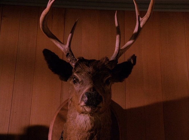 Miasteczko Twin Peaks - Season 2 - Śpiączka - Z filmu