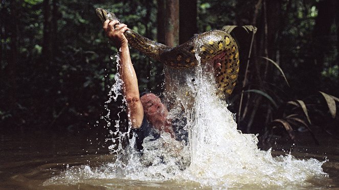 In Search of the Giant Anaconda - De la película