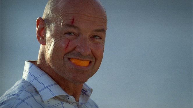 Lost - Pilot: Part 1 - Photos - Terry O'Quinn