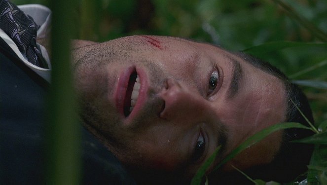 Lost - Eltűntek - Season 1 - A túlélők 2/1 - Filmfotók - Matthew Fox