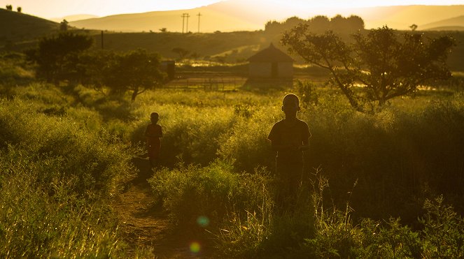 Wildes Südafrika - Van film