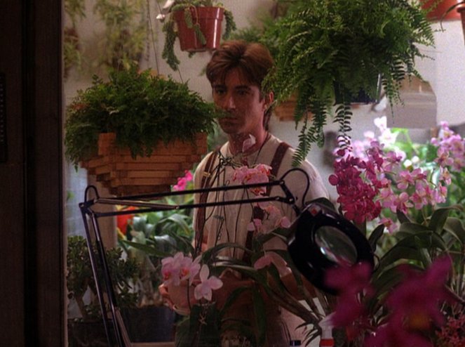 Twin Peaks - Orkidea Laura Palmerin haudalle - Kuvat elokuvasta - Lenny von Dohlen