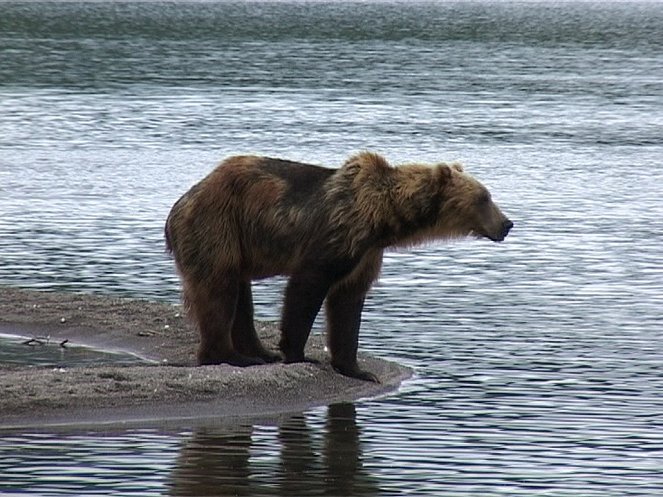 Lachse, Bären, Liebestänze - Bei den Itelmenen auf Kamtschatka - Filmfotók