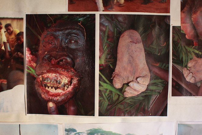 Kongo - Gorillaschutz mit Kettensäge - Filmfotók