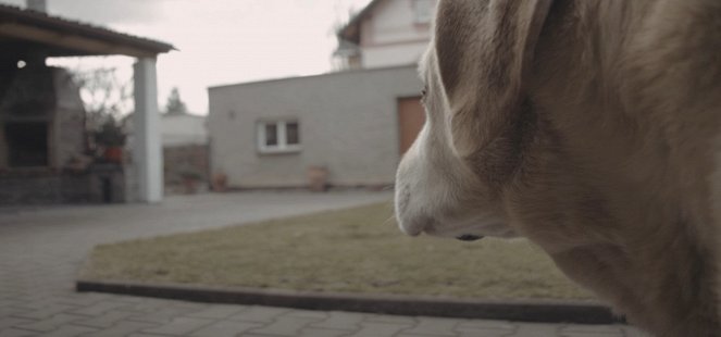 Psí Myšlenka - Kuvat elokuvasta