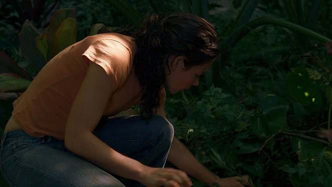 Lost - Eltűntek - Sötét múlt - Filmfotók - Evangeline Lilly