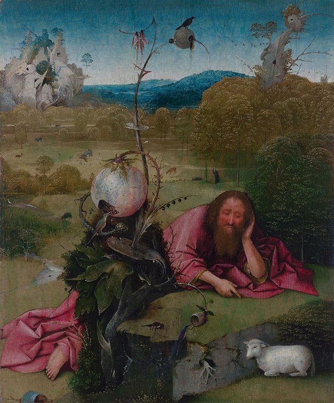 The Curious World of Hieronymus Bosch - Van film