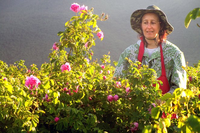 Im Tal der Rosen - Bulgariens blühender Schatz - Filmfotók