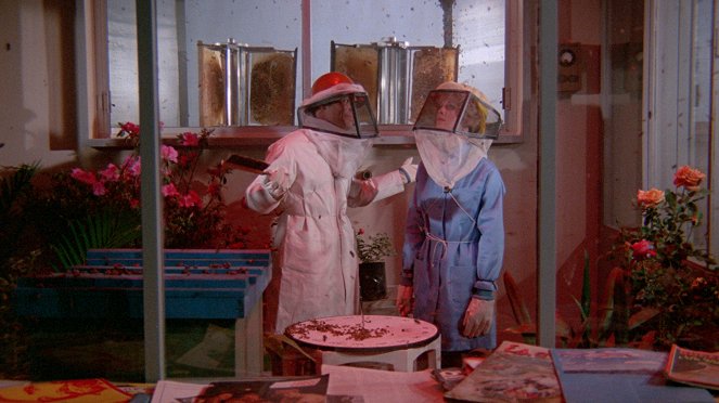 The Bees - Van film
