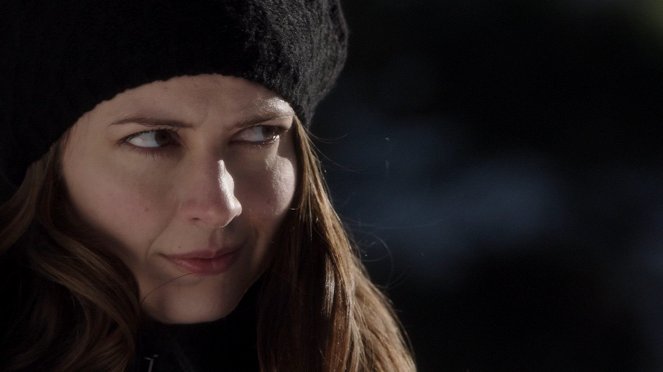 Person Of Interest - Diplomatie - Film - Amy Acker