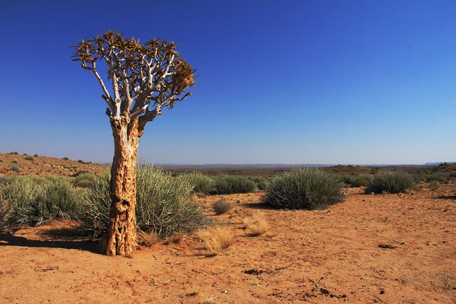 Na cestě - Na cestě po západní Namibii - Z filmu