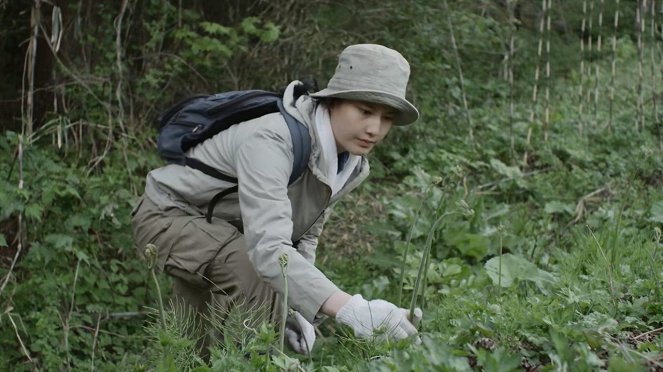 Little Forest: Fuju hen haru hen - Van film - Ai Hashimoto