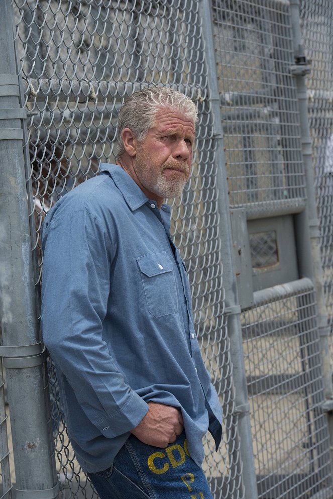 Sons of Anarchy - Purge - Film - Ron Perlman