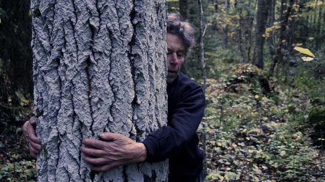 Into the Forest I Go - Photos - Pentti Linkola