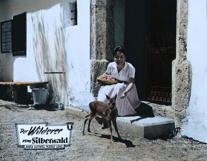 Der Wilderer vom Silberwald - Fotosky - Anita Gutwell