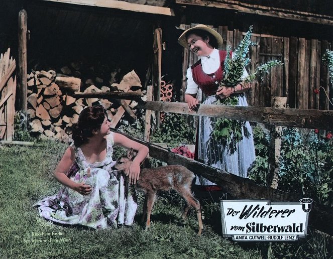 Der Wilderer vom Silberwald - Fotosky - Anita Gutwell, Lucie Englisch