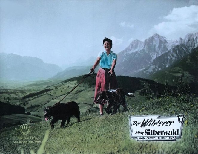 Der Wilderer vom Silberwald - Mainoskuvat - Anita Gutwell
